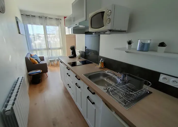 Apartment Bel Au Bord De L'ocean *